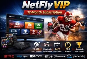 Netfly VIP
